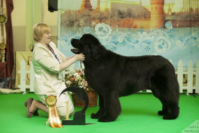 Фотография № 91279