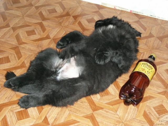 Фотография № 9128