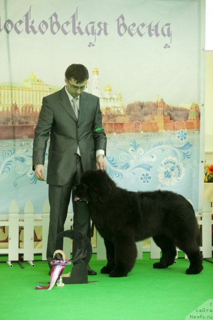 Фотография № 91281