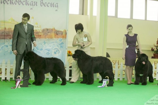 Фотография № 91282