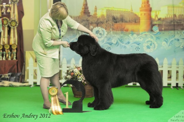 Фотография № 91283