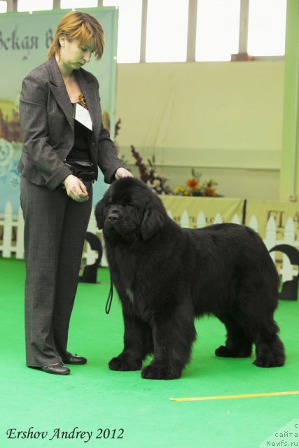 Фотография № 91284