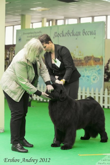 Фотография № 91285