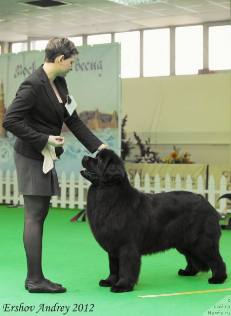 Фотография № 91290