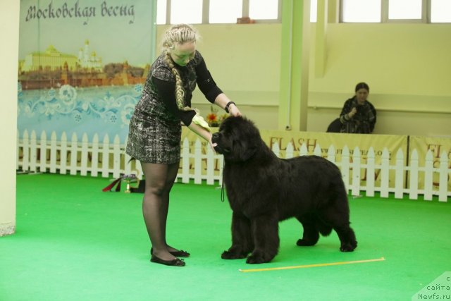 Фотография № 91295