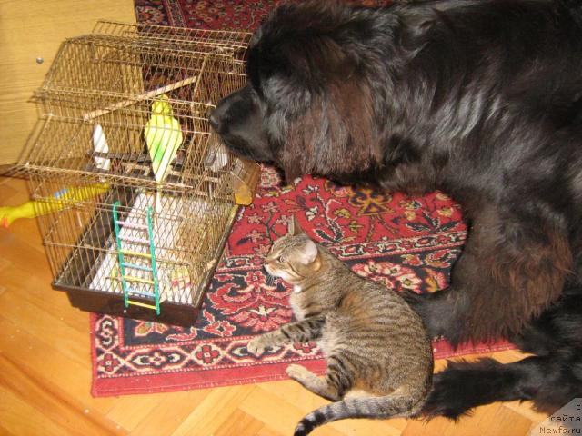 Фотография № 9134