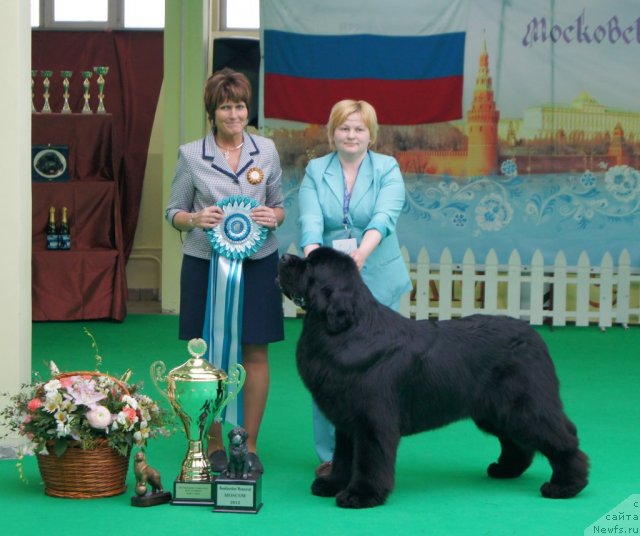 Фотография № 91350