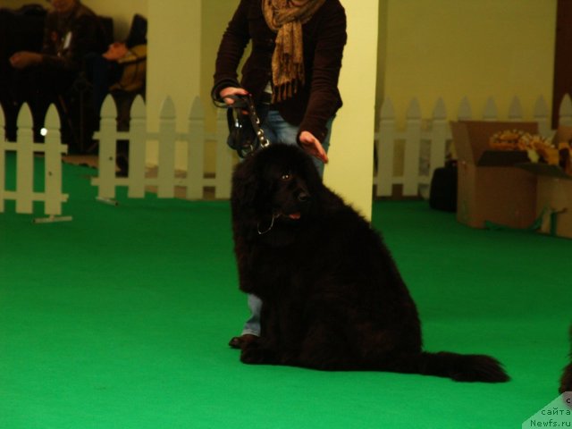 Фотография № 91369