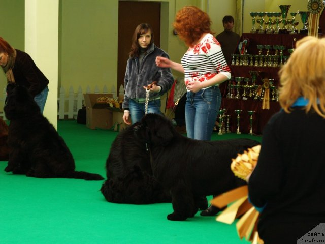 Фотография № 91372