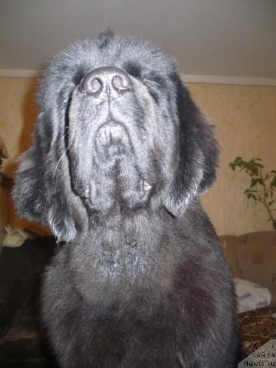 Фотография № 9140