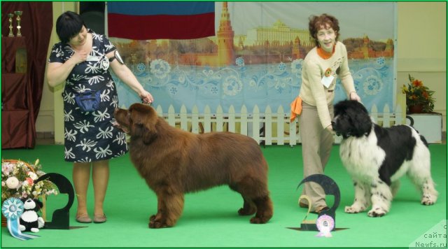 Фотография № 91409