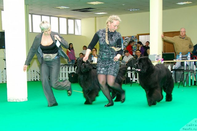 Фотография № 91411