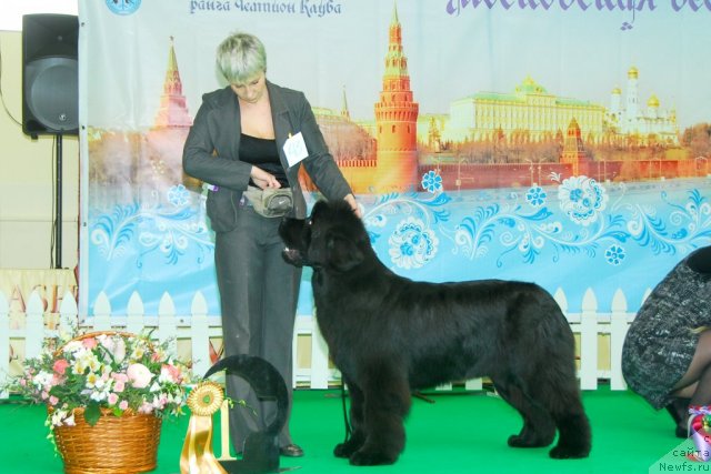 Фотография № 91412