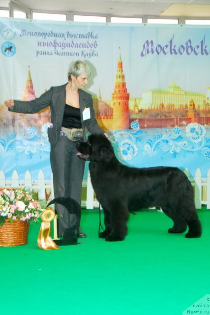 Фотография № 91413