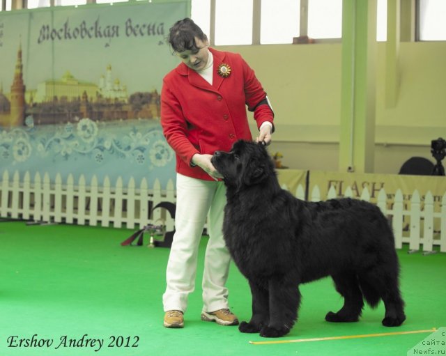 Фотография № 91419