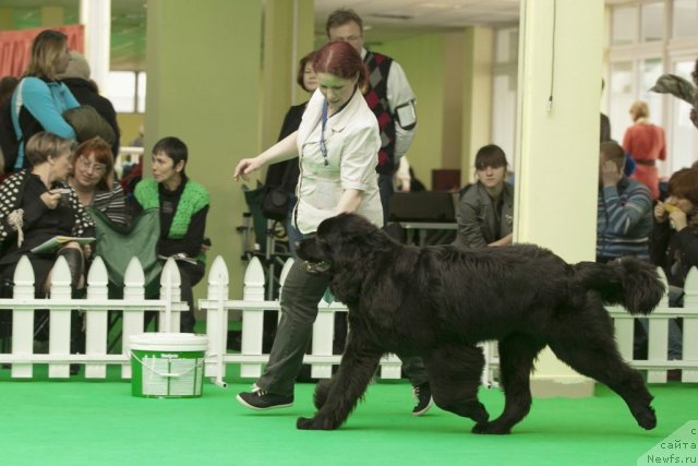 Фотография № 91421