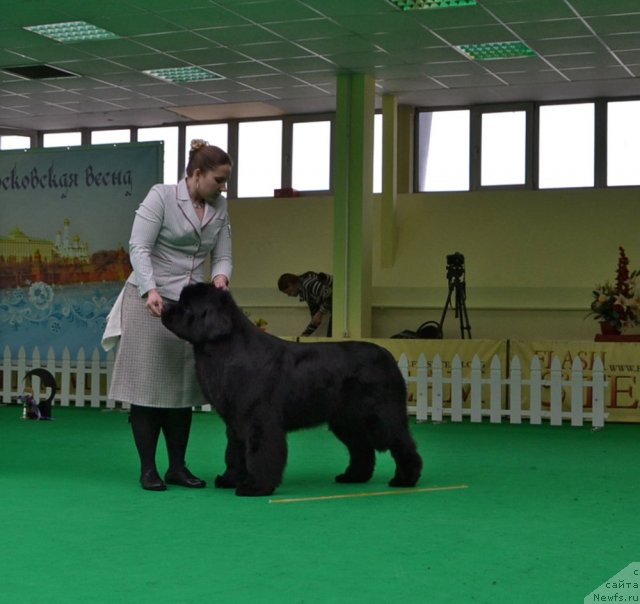 Фотография № 91427