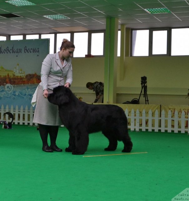 Фотография № 91428