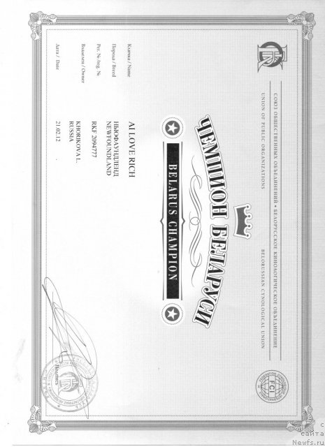 Фото: ньюфаундленд Ай Лав Рич (Ai Love Rich)