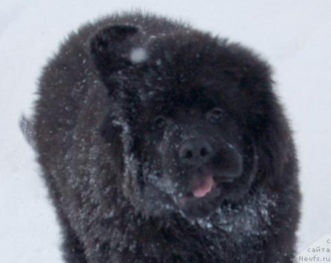 Фотография № 9145