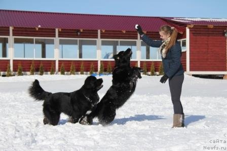 Фотография № 91453