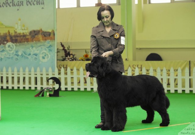 Фотография № 91459