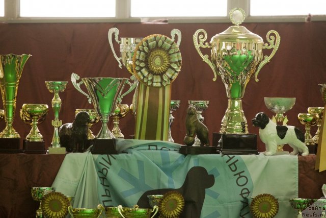 Фотография № 91462