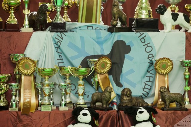 Фотография № 91463