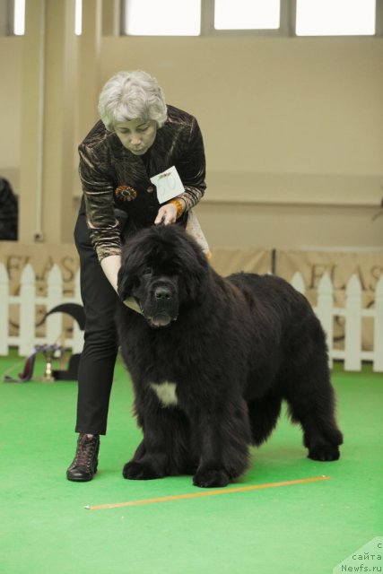 Фотография № 91467