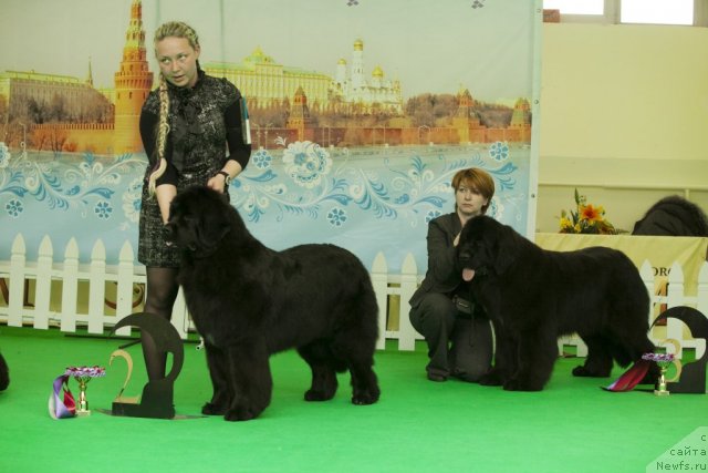 Фотография № 91502