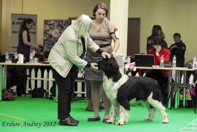 Фотография № 91505