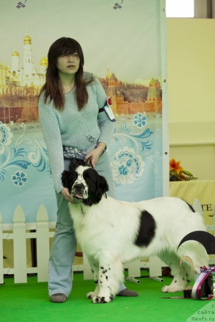 Фотография № 91513