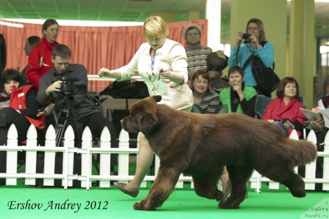 Фотография № 91516