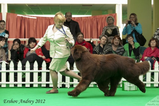 Фотография № 91517