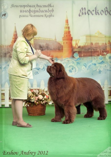 Фотография № 91520