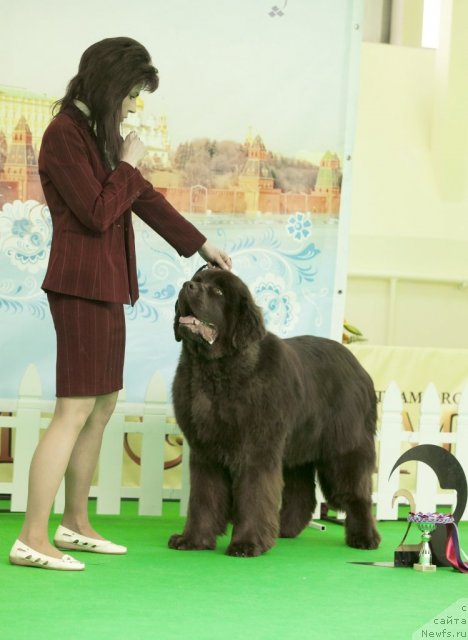 Фотография № 91522