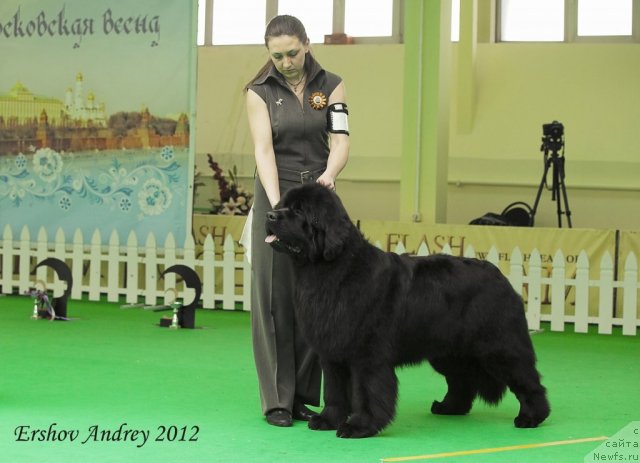 Фотография № 91524