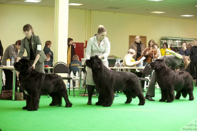 Фотография № 91525