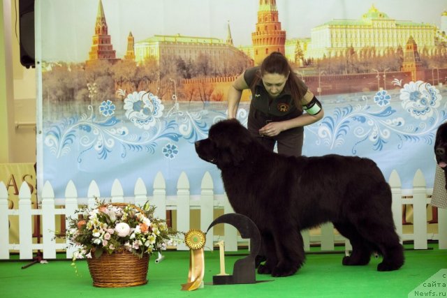 Фотография № 91529