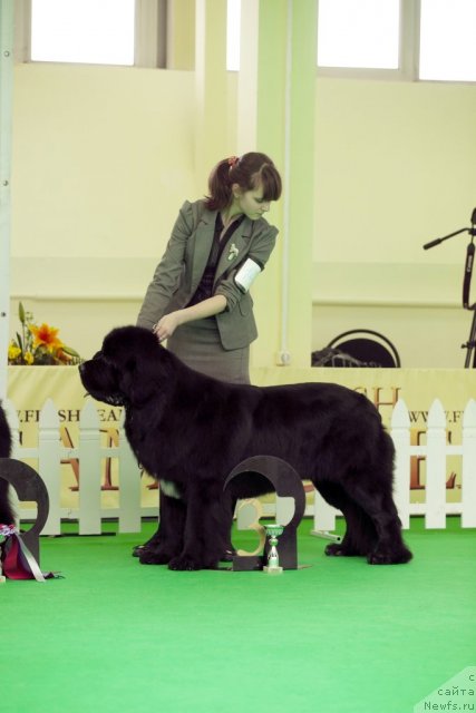 Фотография № 91530