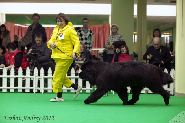 Фотография № 91533