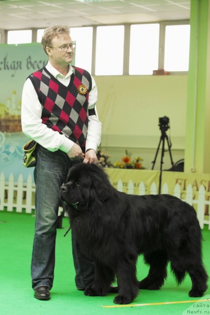 Фотография № 91537