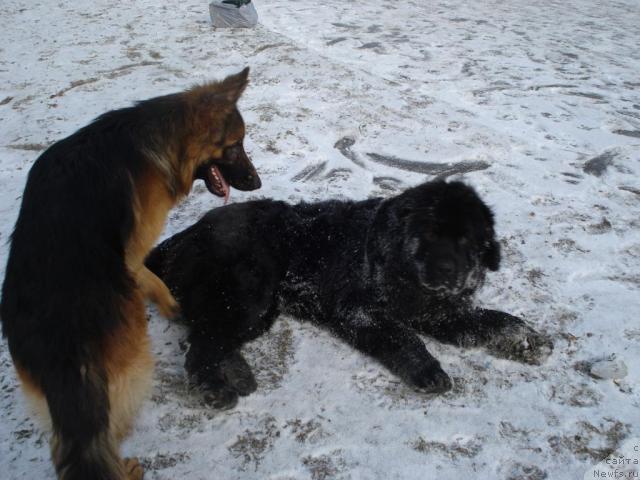 Фотография № 9154