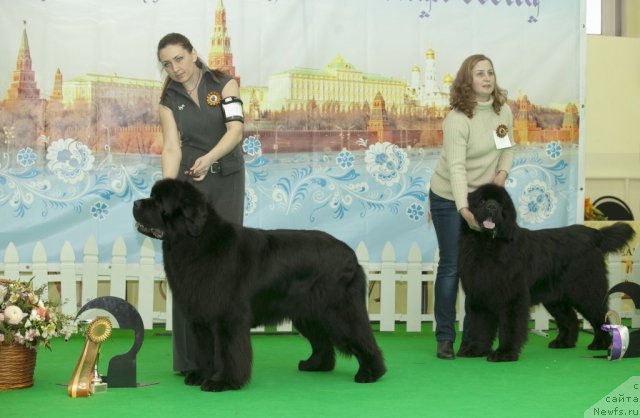 Фотография № 91540