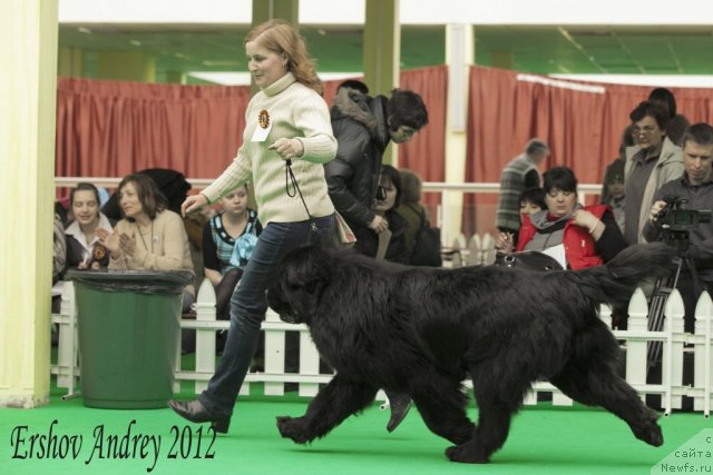 Фотография № 91541