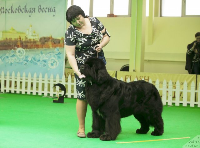 Фотография № 91544