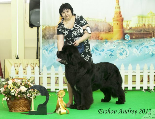 Фотография № 91545