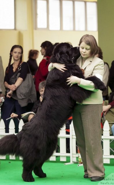 Фотография № 91546