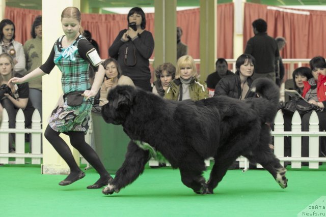 Фотография № 91555