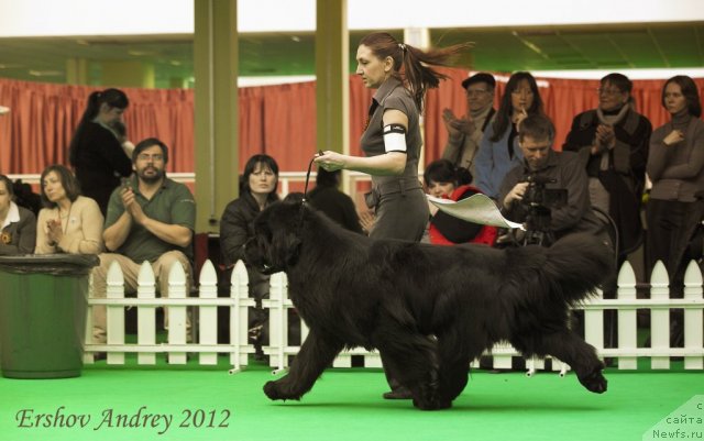 Фотография № 91560